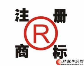 桂林企業(yè)一站式服務(wù) 公司注冊(cè)、代理記賬與食品流通許可證全攻略